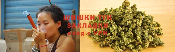 Альфа ПВП Богородск