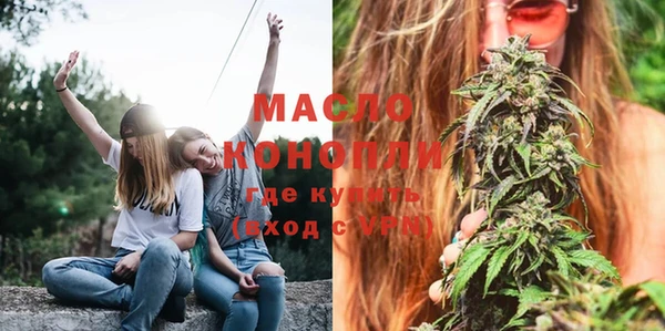 mix Богородицк