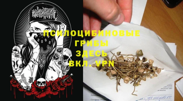 mix Богородицк