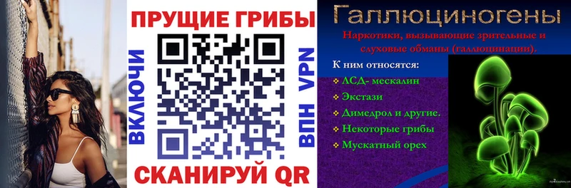 Галлюциногенные грибы мухоморы  Высоковск 